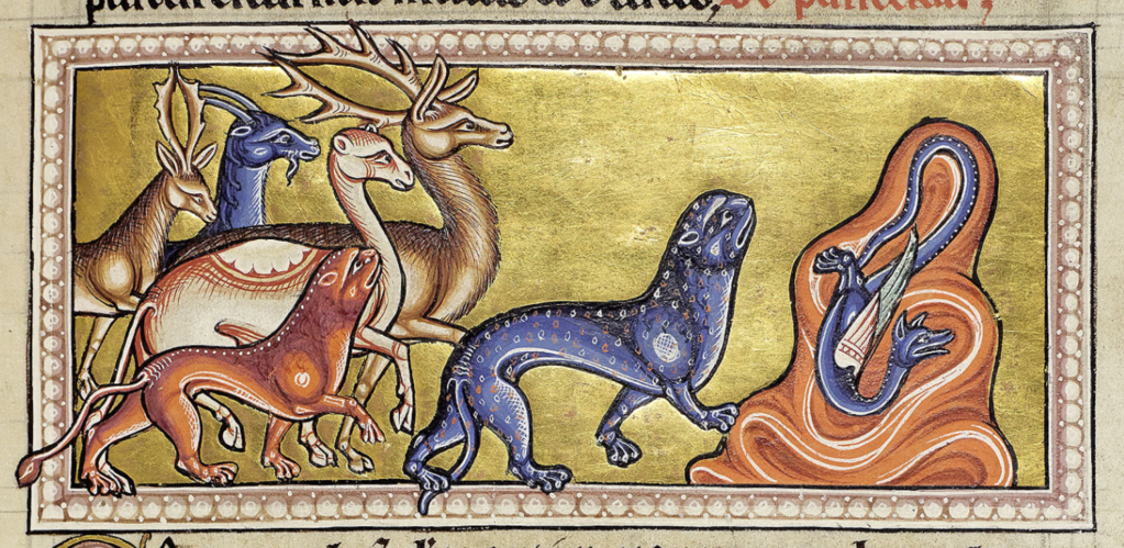 Medieval manuscript image of various animals following a large, dark-coloured cat with brightly coloured spots, who is approaching a swirly mound containing a winged two-legged dragon.