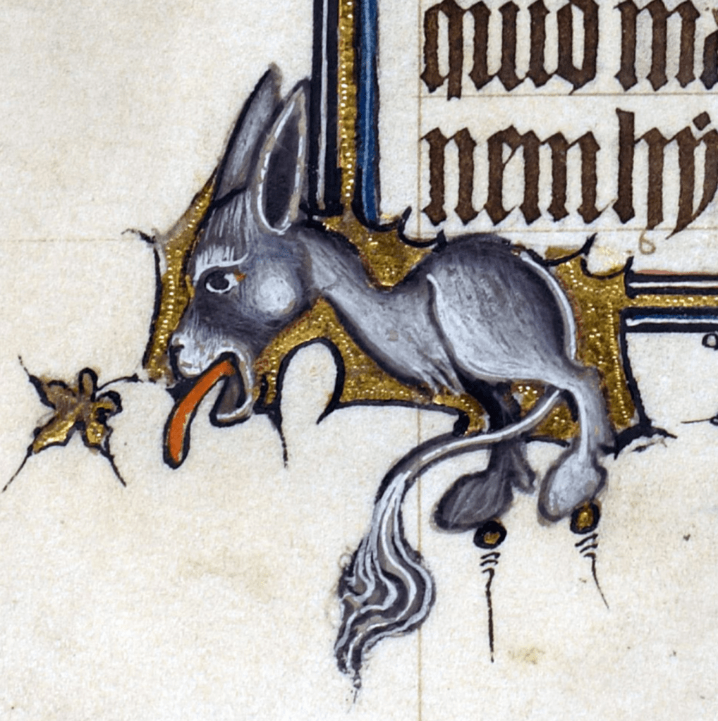 Medieval manuscript image of a bipedal donkey with its long tongue sticking out.