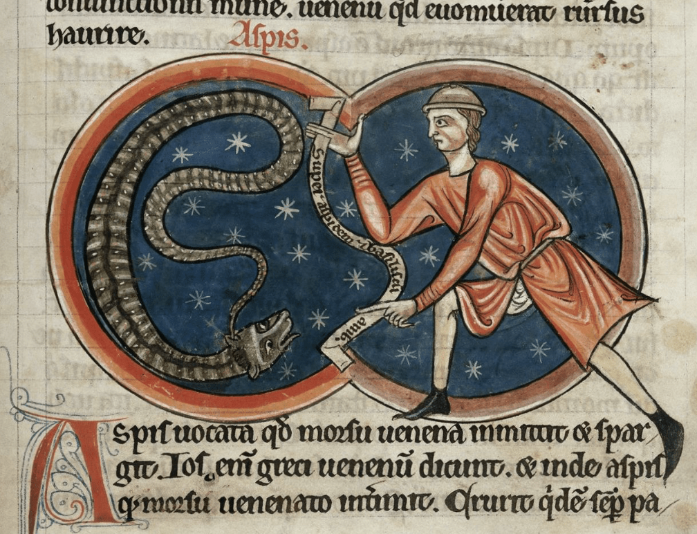 Medieval manuscript image of an asp refusing to listen to a snake charmer’s incantations which are represented by a scroll with Latin words in the man’s hands.
