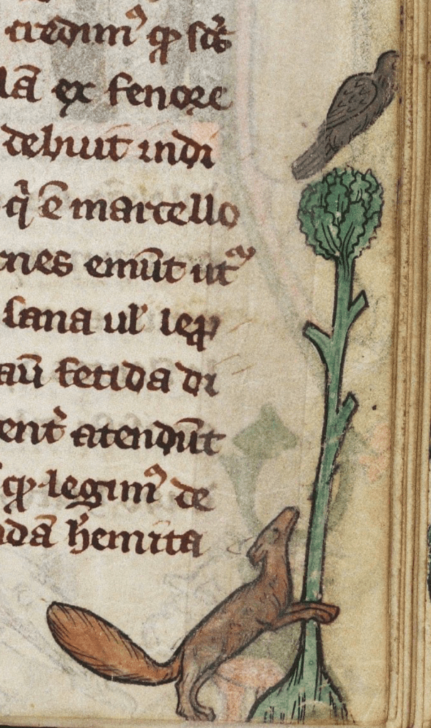 In the margin of a medieval manuscript a fox tries to reach a bird perched in a tree.