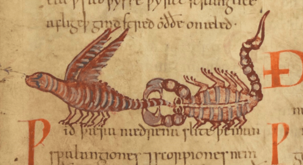 Medieval manuscript image of a scorpion grabbing the tail of some kind of four-legged two-winged creepy-crawly in its pincers.