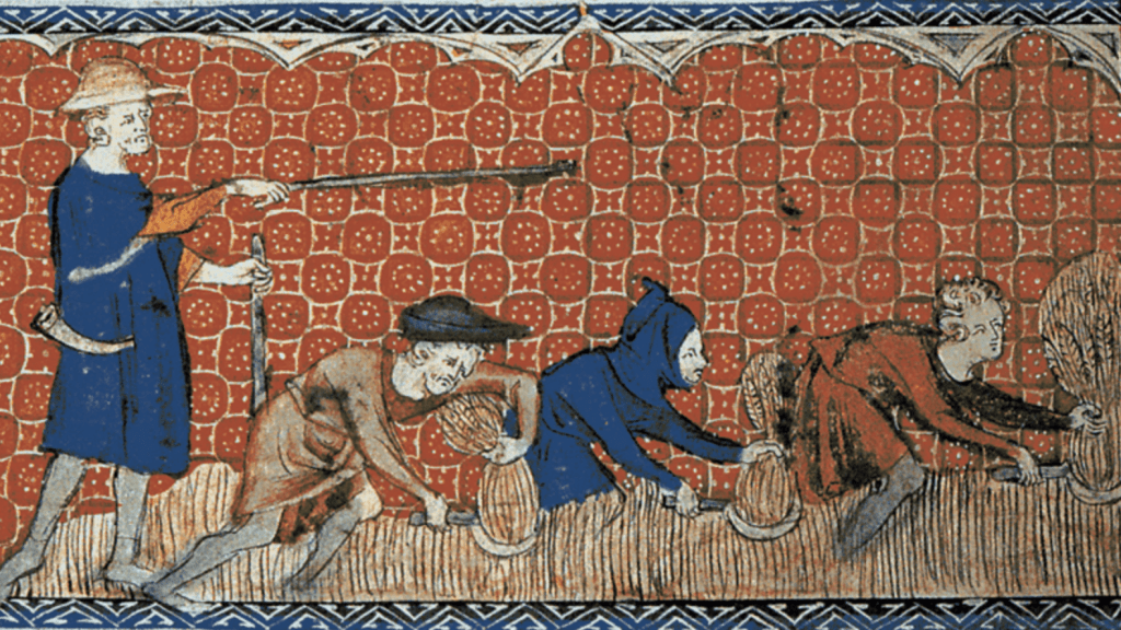 Medieval manuscript image of three men harvesting grain with reaping-hooks while another man supervises.