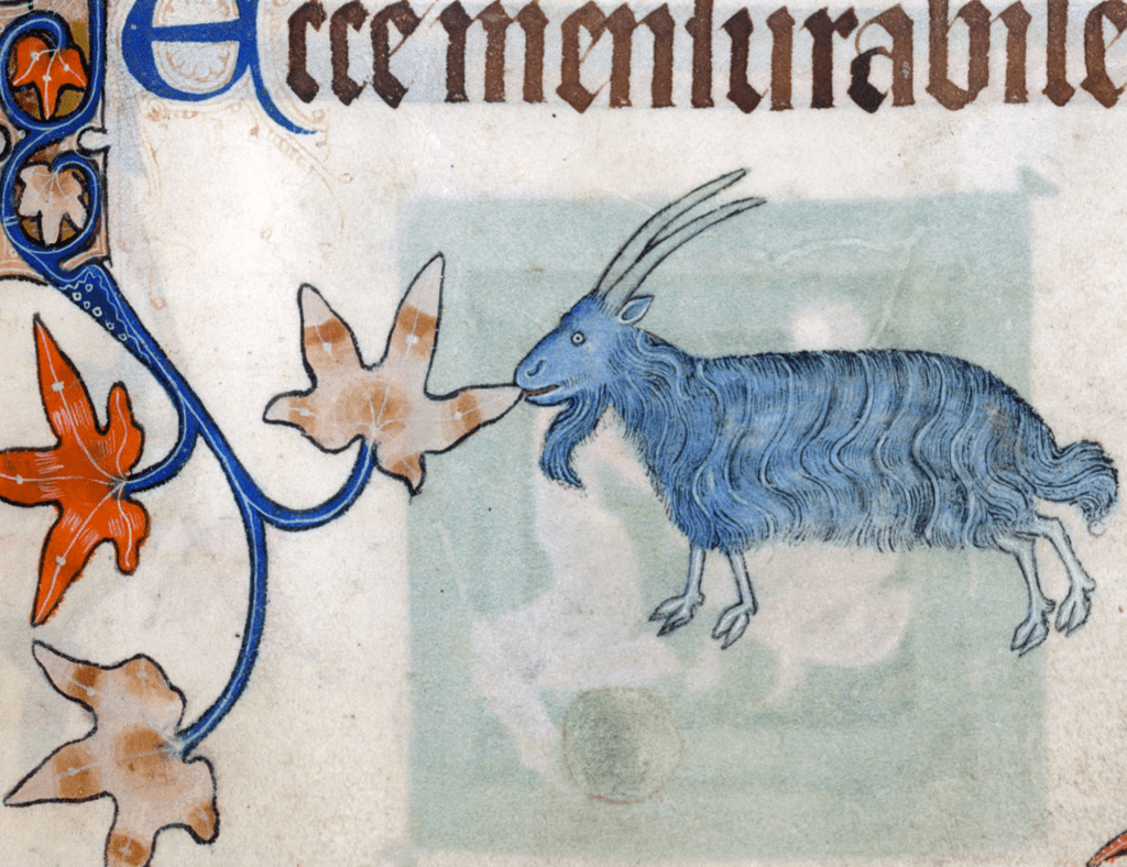 Medieval manuscript image of a blue goat nibbling on the leaf border of the page.