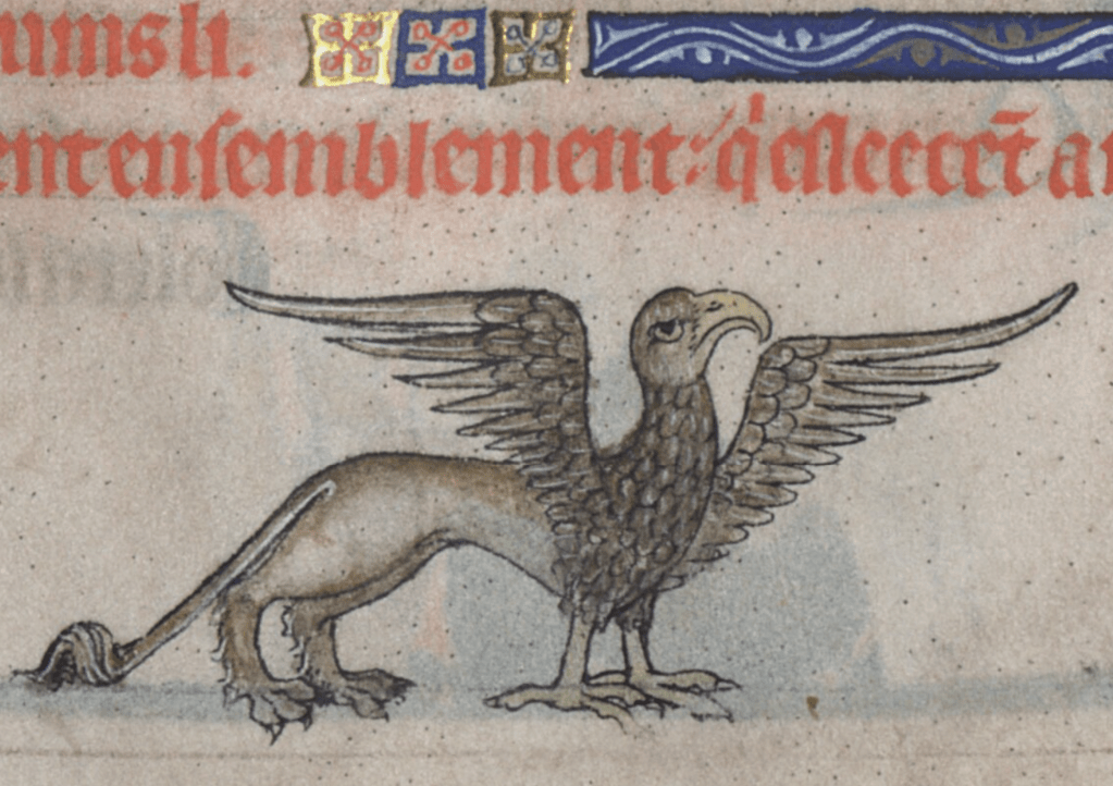 Medieval manuscript image of a griffin, with the head, neck, wings and talons of an eagle in front and the body of a lion with clawed paws and tail in back.