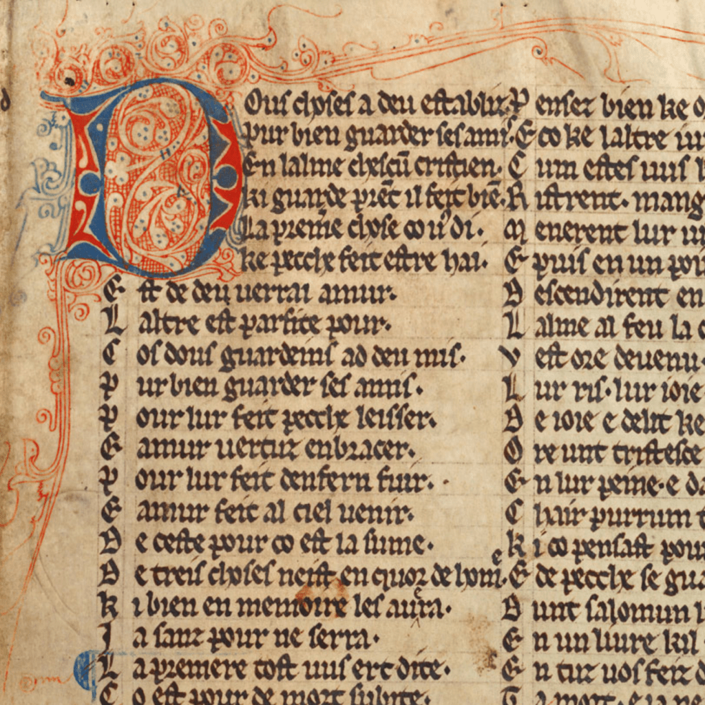 Anglo-Norman text with an initial D in red and blue decorated with intricate red lines and blue dots which resemble the vines of a plant.