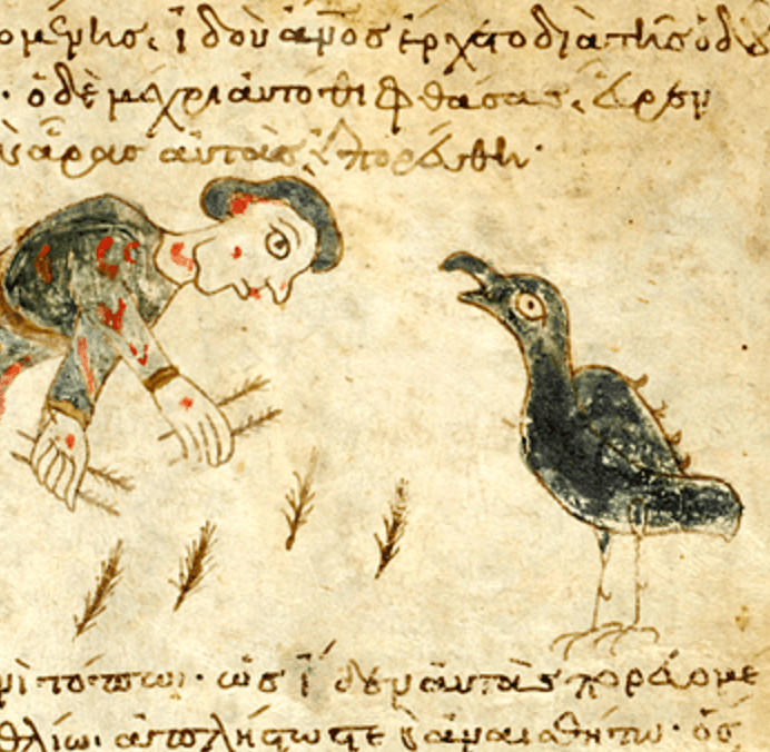 Medieval manuscript illustration of a man bending over to gather feathers while an open-beaked crow stares him down; four feathers are in the man’s hands, four on the ground.