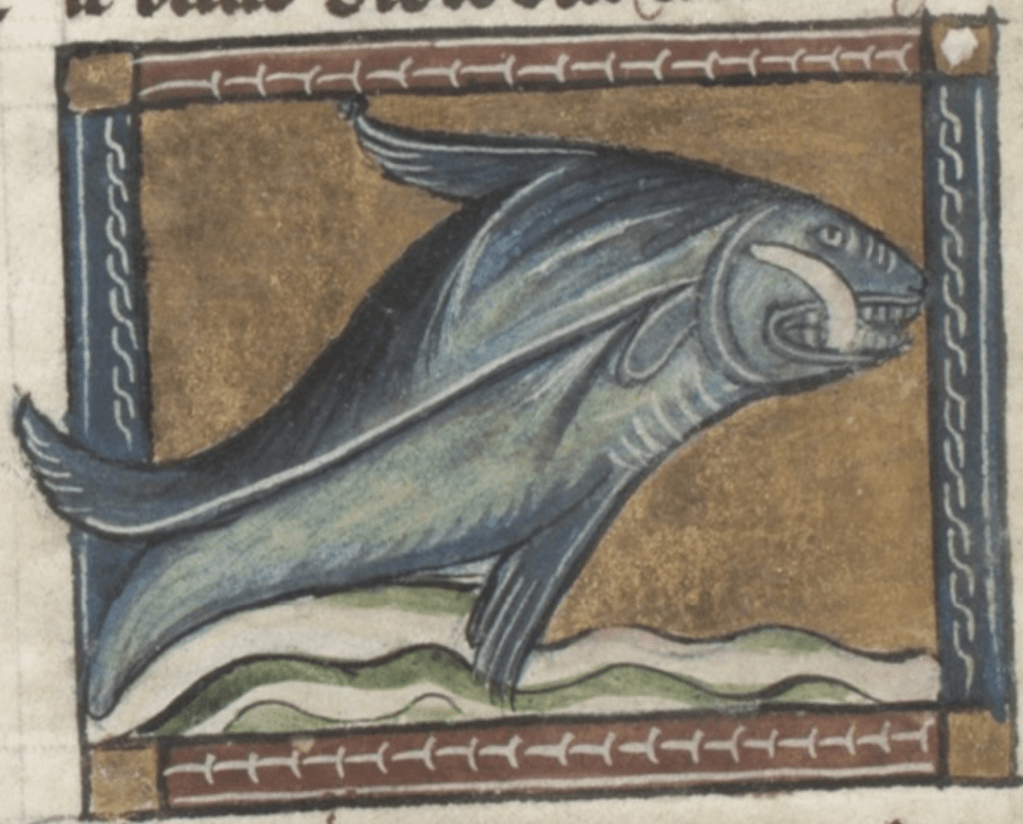 Medieval manuscript illustration of a fish with large tusks and lots of teeth leaping over a current of water.