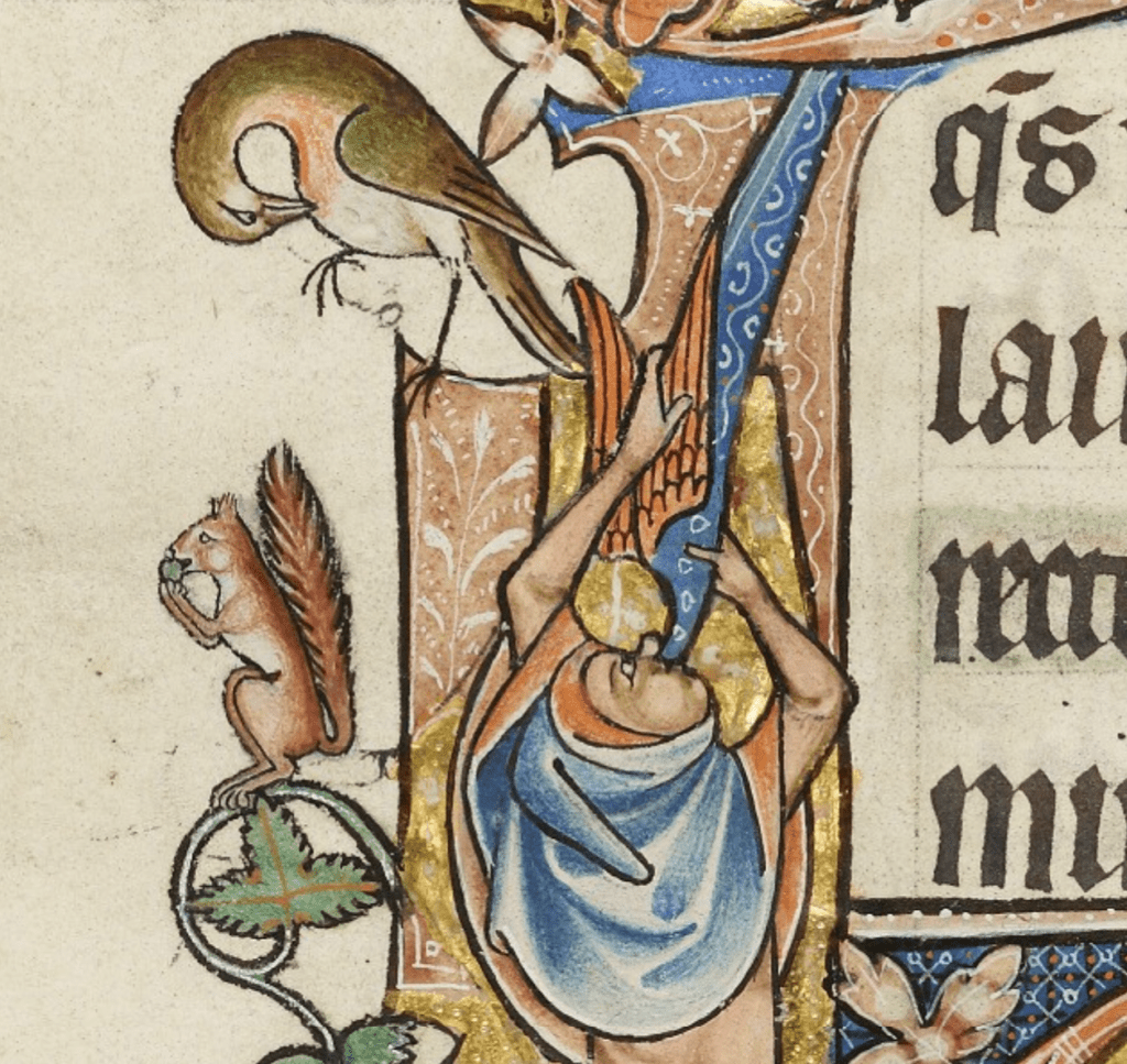 Medieval manuscript marginalia depicting a hooded man holding the midsection of a winged dragon while swallowing its head; a bird pecks its breast and a squirrel eats a nut nearby.