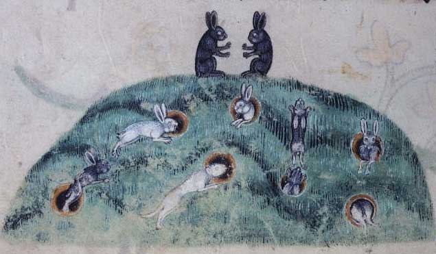 Medieval manuscript illustration of a grassy knoll with dogs chasing rabbits out of their holes; on top of the knoll two rabbits face one another, forelegs outstretched.