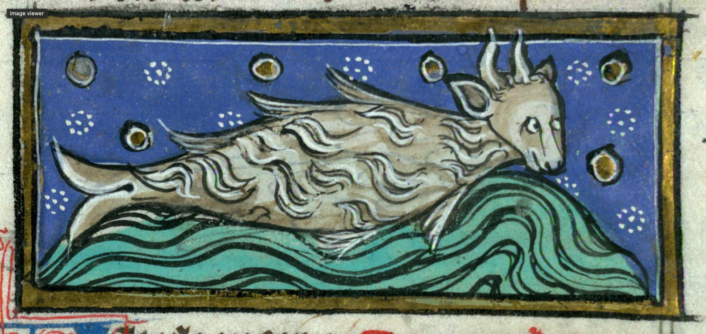 Medieval manuscript image of a swimming hairy fish-creature with the head of a calf.