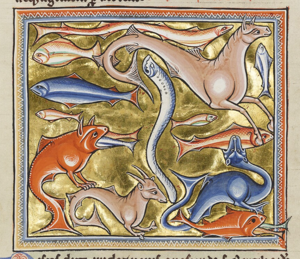 Medieval manuscript illustration of various diverse kinds of fish, including some  with two forefeet and the heads of different animals like a horse, goat or dragon.