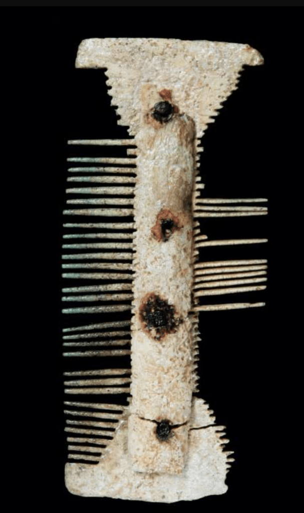 The remains of a two-sided white comb, one side missing a few of its teeth, the right side missing most.