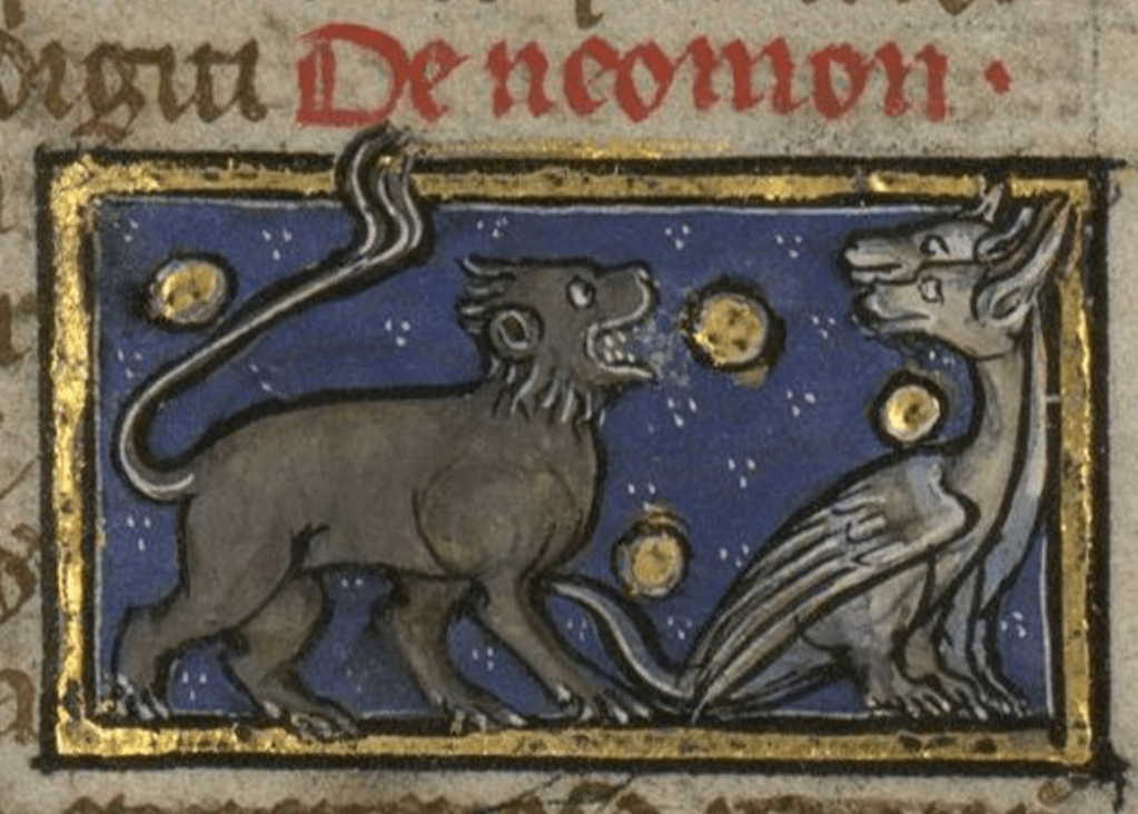 Medieval manuscript image of a black, lion-like creature with hoofed feet baring its teeth at a pair of wyverns.