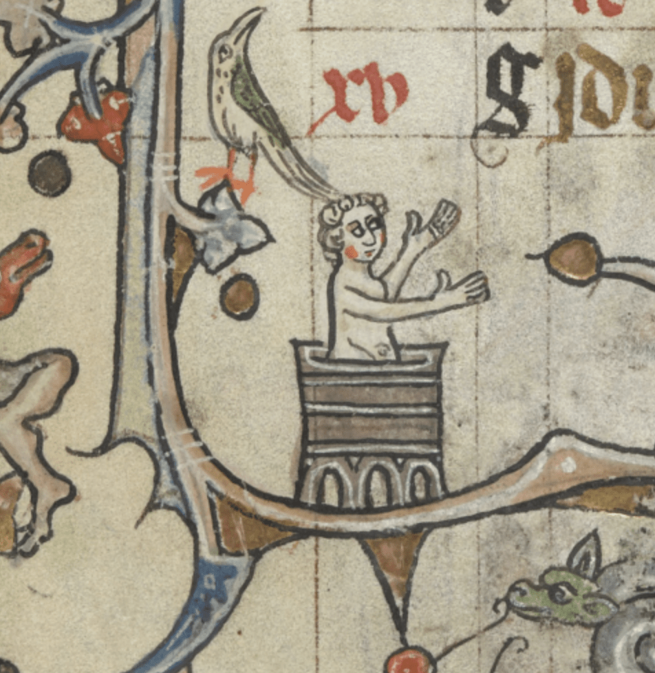 Medieval marginalia depicting a person bathing in a barrel-like tub, with a large bird perched above them and a dragon-like creature lurking below.