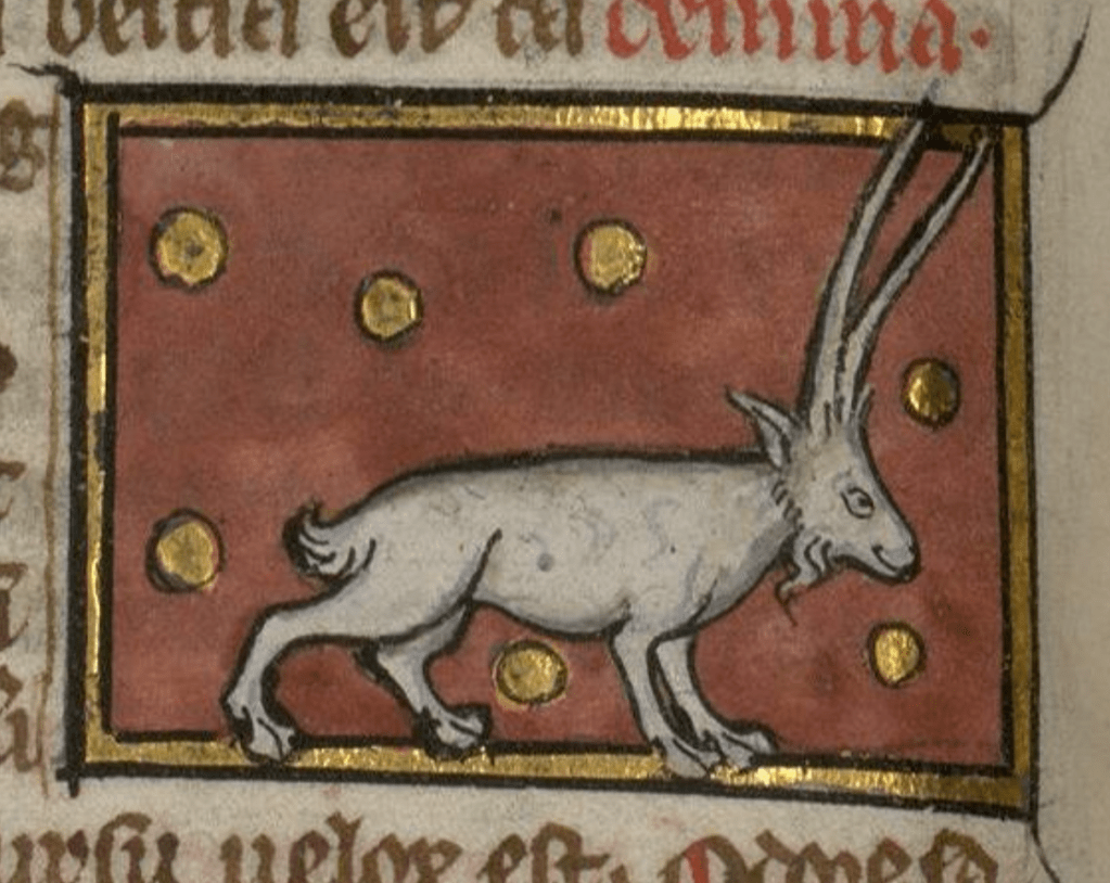 Medieval manuscript illustration of a goat-like creature with extremely long, sharp horns, surrounded by floating gold circles.
