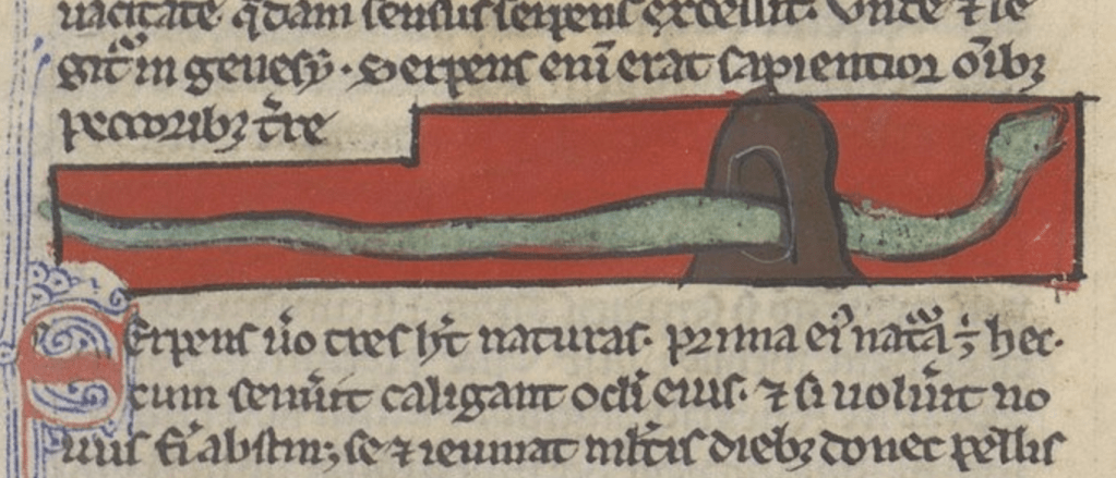 Medieval manuscript illustration of a long green snake slithering through an opening in a rock.