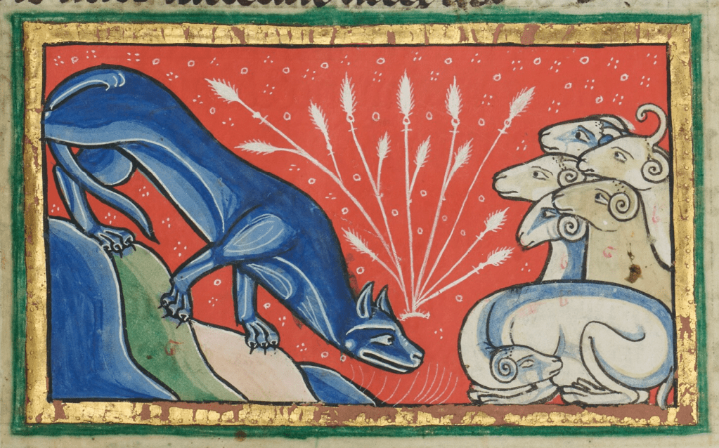Medieval manuscript image of a wide-eyed blue wolf sneaking past some plants to where six sheep sit unawares.