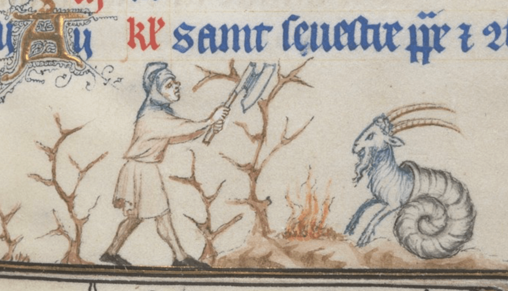 Medieval manuscript illustration of a man using an axe to chop branches from leafless tree or bush; a goat-snail hybrid creature watches him from beside a fire.