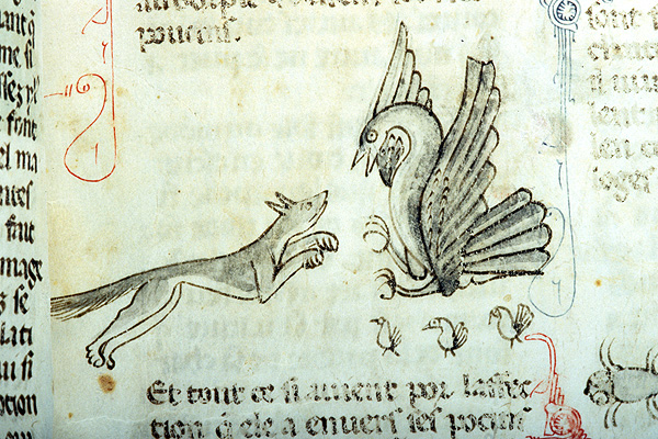 Medieval manuscript illustration of a fox leaping toward a bird whose swings are raised, beak open, with three chicks in the foreground.