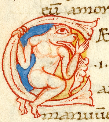 Medieval manuscript initial C decorated with a cynocephalus (dog-headed man).