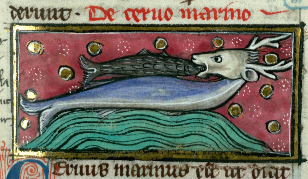 Medieval manuscript illustration of an angry-looking deer head on a large fish’s body swallowing a fish.