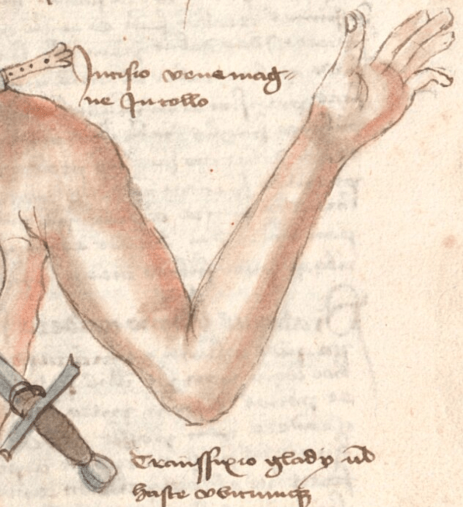 Medieval manuscript illustration of a naked person’s arm, bent at the elbow and hand in the air, the armpit slightly exposed; the image is cropped but there appear to be a couple of knives stuck into the person.