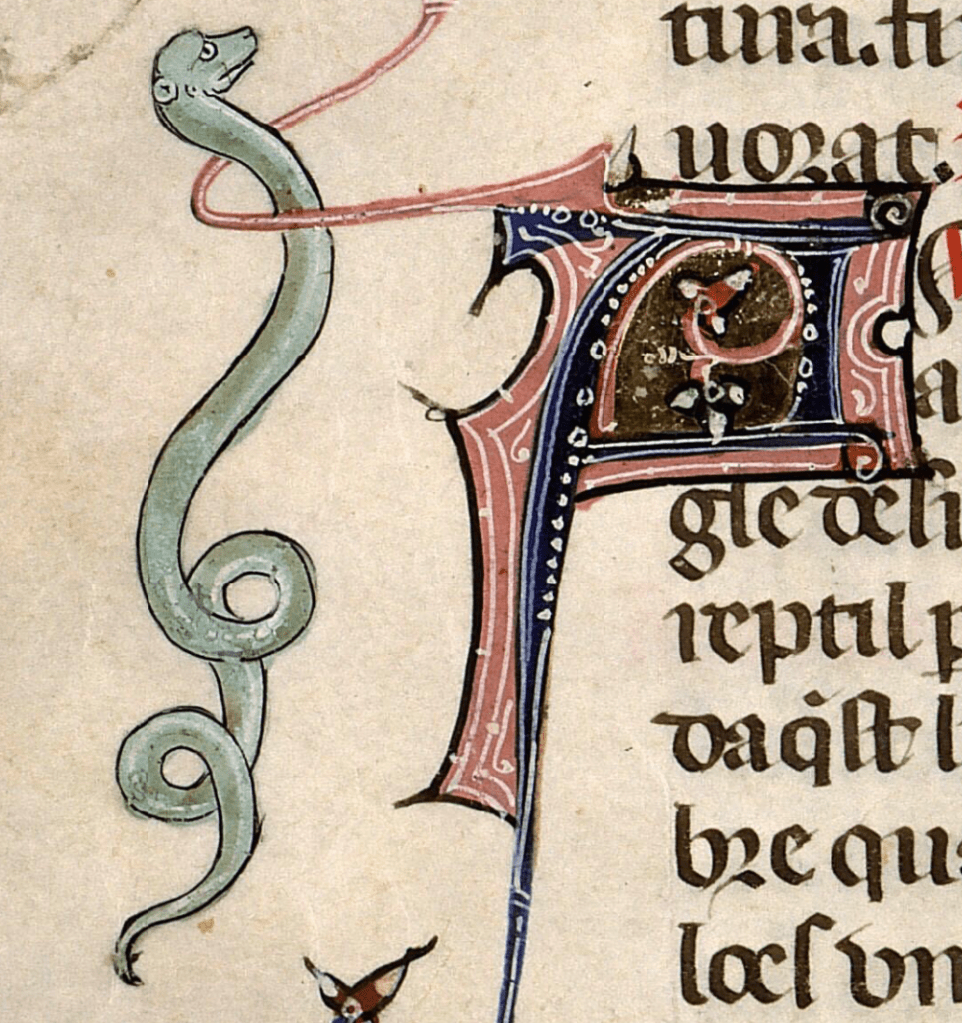 Medieval manuscript image of a green snake coiling its way up a margin beside and through an initial decorated with curving lines and dots.