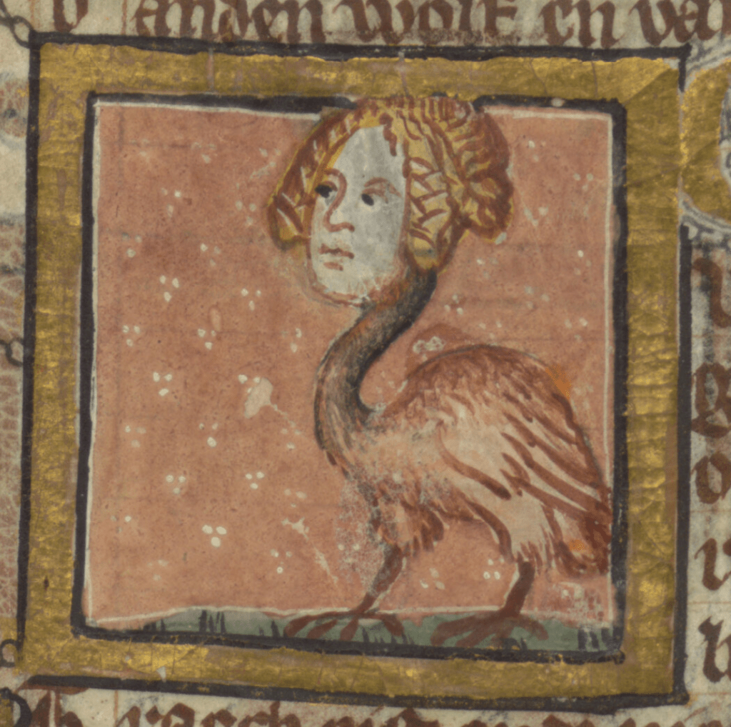 Medieval manuscript image of a creature with a bird body and legs and an enormous human female head.