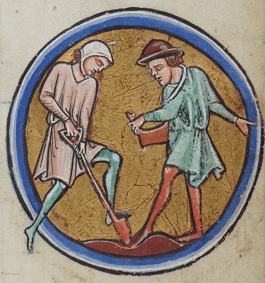 Medieval manuscript image of one man digging the soil with a shovel and another carrying a bag and looking down at the hole.