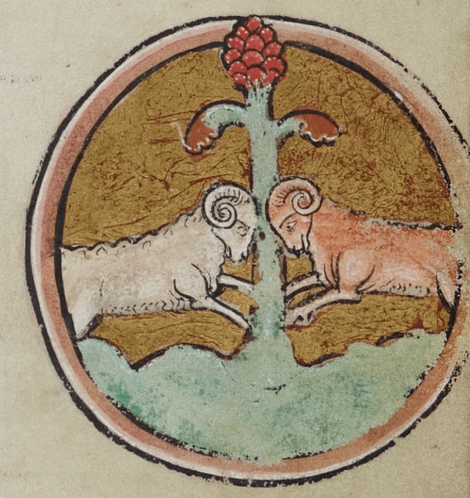 Medieval manuscript image of two rams, one brown and one white, butting heads against a strange looking tree.