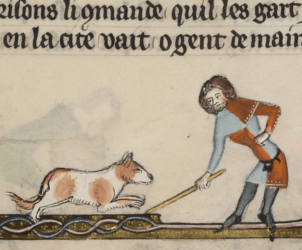 Medieval manuscript image of a man training a dog with a stick.