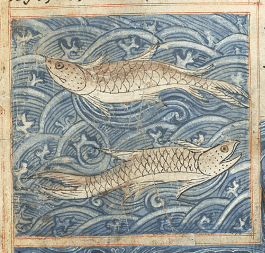 Medieval manuscript image of two fish swimming in waves of water.