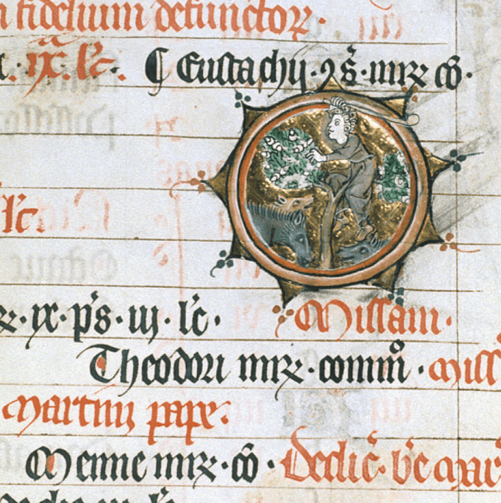 Medieval manuscript illustration of a man striking a tree to make the nuts fall to the ground where three pigs are eating them.