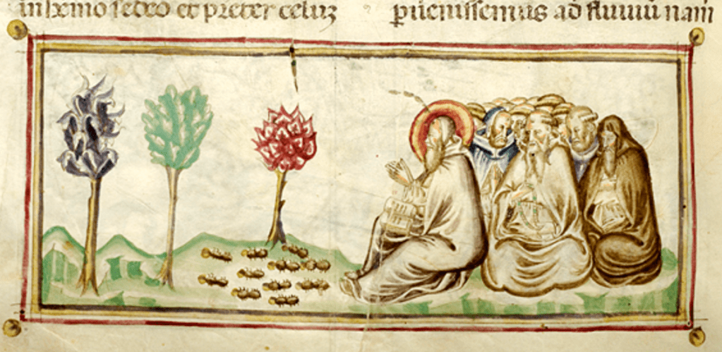 Medieval manuscript illustration of a group of tonsured men, one of whom has a halo and an open book, sitting beside eleven ants that are carrying small objects (perhaps grain) across the ground.