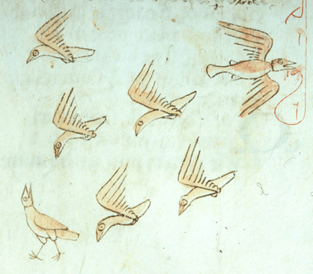 Medieval manuscript image of five of six birds flying toward a bird walking on the ground; the sixth bird flies away from the others.