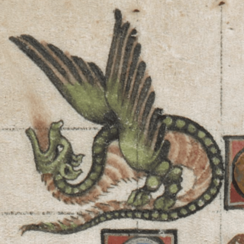 Medieval manuscript illustration of a two-legged winged dragon raising its mouth to the sky to breathe fire.